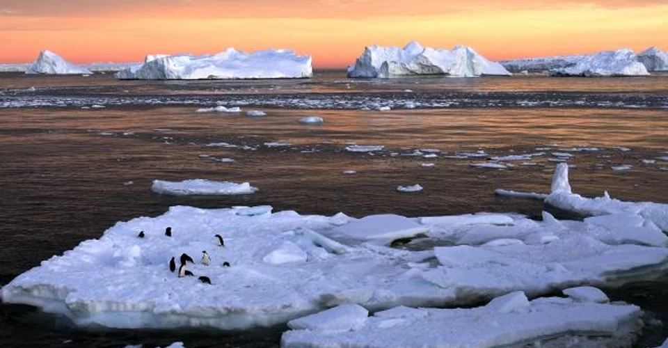 Antarktika’da alarm: Deniz buzu en düşük seviyesinde