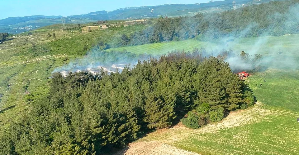 Soma’daki orman yangınında 1 hektarlık alan tahrip oldu