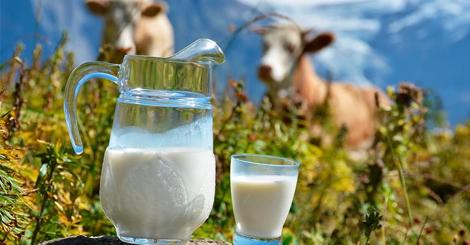 Sütün litre fiyatı 21 lirayı buldu
