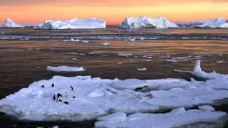 Antarktika’da alarm: Deniz buzu en düşük seviyesinde