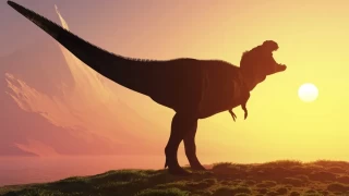 Avrupa’nın ’en büyük’ kara dinozoru fosili İngiltere’de keşfedildi