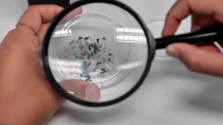 Antarktika’da karda ilk kez mikroplastik tespit edildi